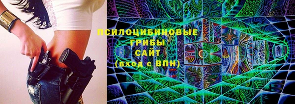 mdma Няндома