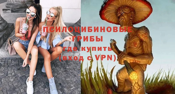 индика Абаза