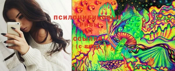 ПСИЛОЦИБИНОВЫЕ ГРИБЫ Абдулино