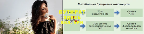 индика Абаза