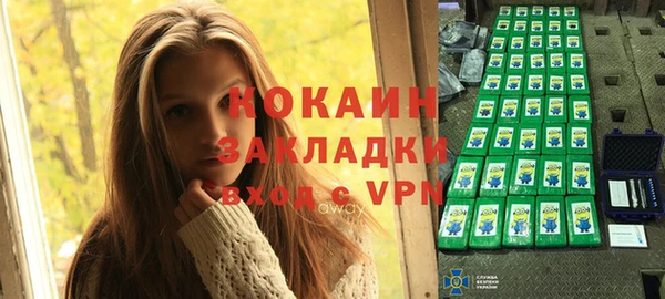 индика Абаза