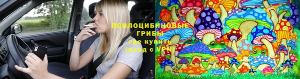 спиды Абинск