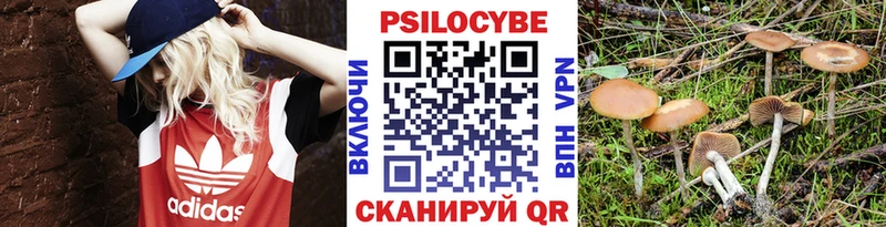 Галлюциногенные грибы мухоморы  Гагарин 